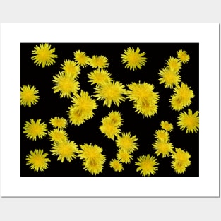 Dandelion Posters and Art